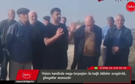 Kolanı kəndində meşə torpaqları ilə bağlı iddialar araşdırıldı, şikayətlər əsassızdır