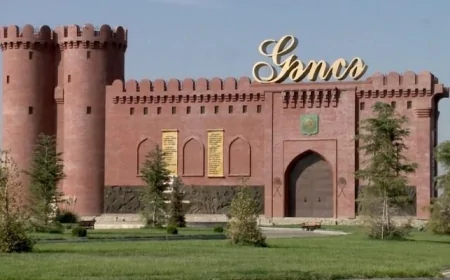 Gəncədə səkini zəbt edib otel tikən kimdir?