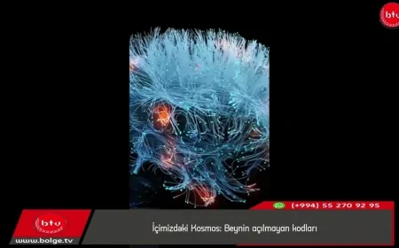 İçimizdəki Kosmos: Beynin açılmayan kodları