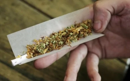 Külli miqdarda narkotik dövriyyədən çıxarılıb