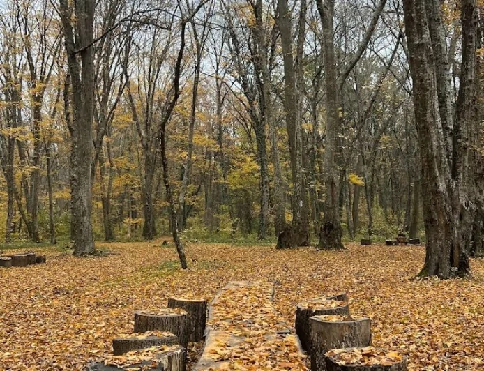 Bu gün Samur-Yalama Milli Parkının yaranması günüdür