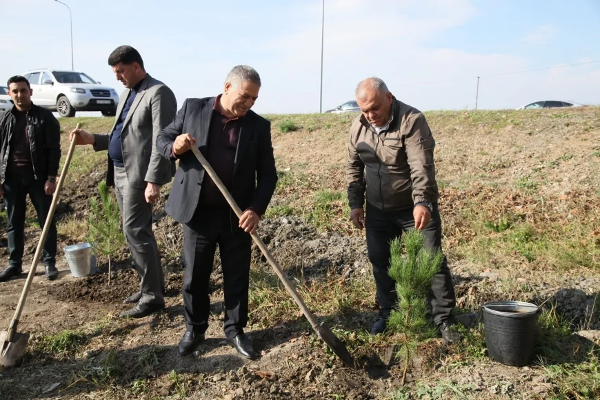 Bərdə rayonunda 8 Noyabr- Zəfər Günü münasibətilə ağacəkmə aksiyası keçirilib