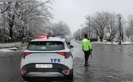 Piyada intizamı yol hərəkətində ən mühüm amildir