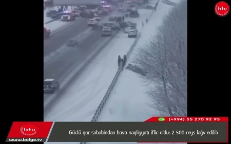 Güclü qar səbəbindən hava nəqliyyatı iflic oldu: 2 500 reys ləğv edilib