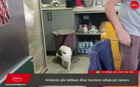 Xırdalanda qida təhlükəsi: dönər hazırlanan yerdə şok mənzərə