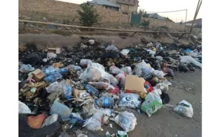 Gəncə, Cəlilabad və Masallıda qanunsuz tullantı qalaqları aşkarlanıb