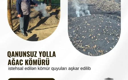 DETX məlumat yaydı - Qanunsuz kömür quyuları ləğv olundu