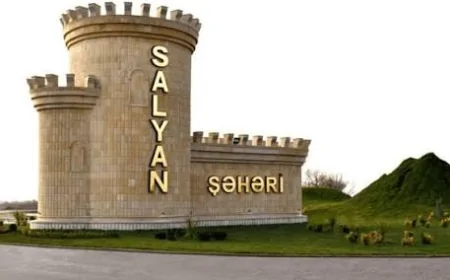 Salyanda böyük qəza: yük maşını qoyun sürüsünü vurdu