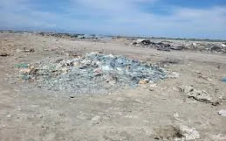 DETX məlumat yaydı: Bərdədə zibil poliqonunda yanğına görə vəzifəli şəxs cərimələndi