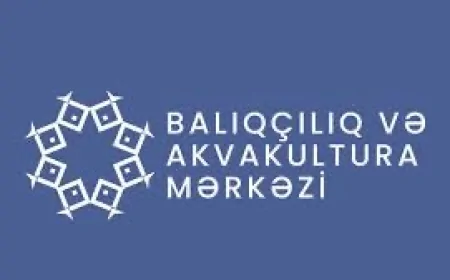 ŞAD XƏBƏR: Bu sahə vergidən azad olunacaq