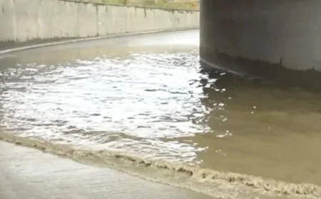 Zabratsayağı "survivor"- Məktəblilərin çətin anları