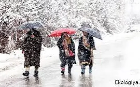 Bakıda və Abşeronda hava kəskin soyuyur: yağış və sulu qar gözlənilir