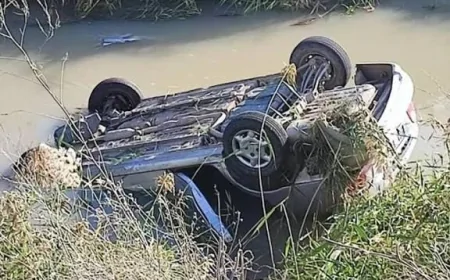 Üç avtomobil toqquşdu - Broyler toyuqları ətrafa dağıldı