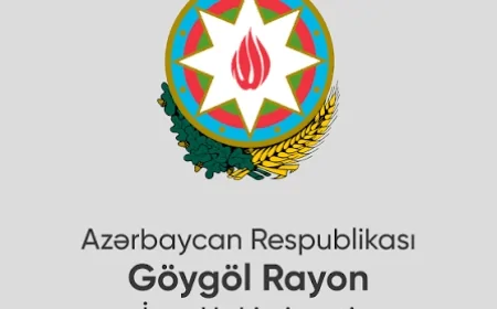 Göygölün yeni icra başçısı üç vəzifəli şəxsi işdən çıxardı