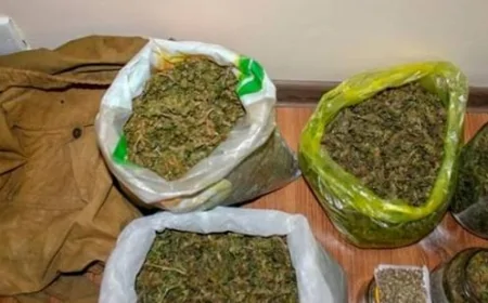 Narkotiklərin qanunsuz dövriyyəsinə qarşı mübarizə davam etdirilir