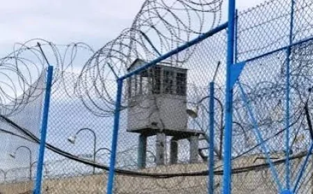 Amnistiya aktının 20 mindən çox şəxsə şamil ediləcəyi gözlənilir