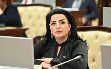 Deputat: Distant iş modeli ilə bağlı qərar vacib və vaxtında atılmış addımdır