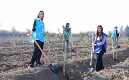“Yaşıl marafon” Bərdə və Beyləqanda: Minlərlə yeni ağac əkildi