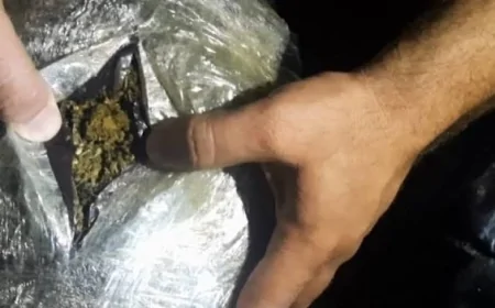 Narkotik vasitələrin ölkə ərazisinə keçirilməsinin qarşısı alındı