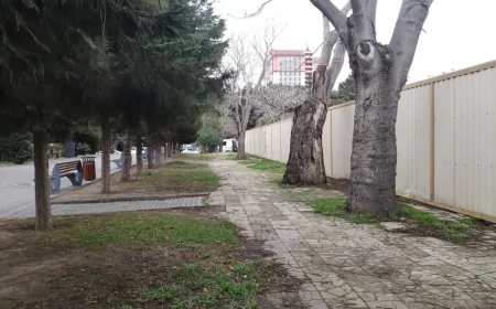 Nəsimi rayonunda parkın ərazisini kimlər satdı?