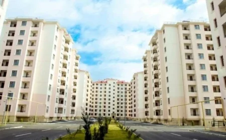 Şəhid ailələri və əlillərə 7 minə yaxın mənzil verilib - Rəsmi