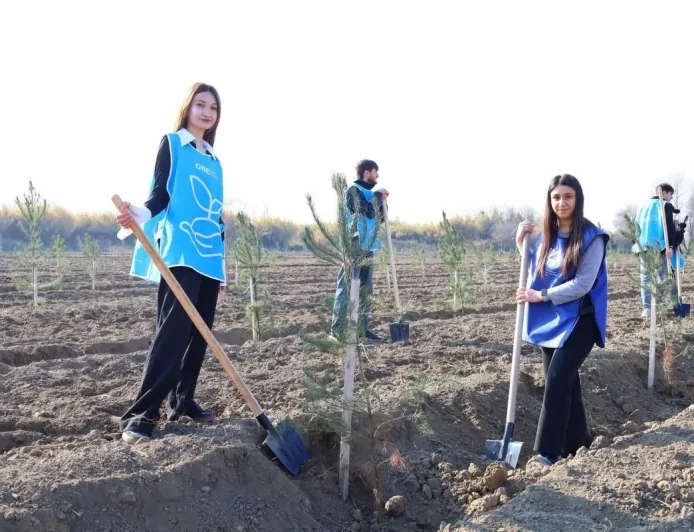 “Yaşıl marafon” Bərdə və Beyləqanda: Minlərlə yeni ağac əkildi