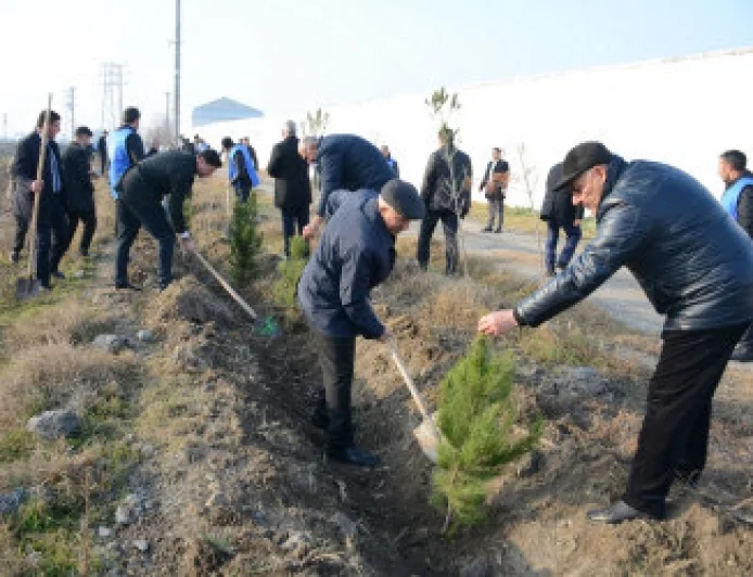 Tərtərdə Prezident İlham Əliyevin ad günü münasibətilə ağacəkmə aksiyası keçirilib