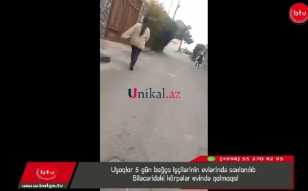 Uşaqlar 5 gün bağça işçilərinin evlərində saxlanılıb Biləcəridəki körpələr evində qalmaqal