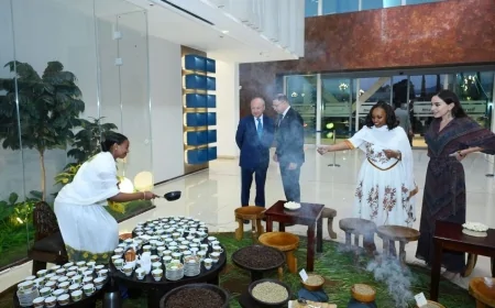 Leyla Əliyeva Efiopiyadadır