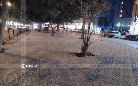 Əhmədlidə tikintiyə icazə verilməyən ərazidə ağaclar kəsildi, yerinə daş döşəndi