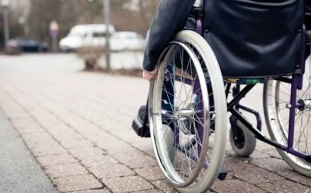 Əlillik təyinatlarının 55-56 faizi BU xəstəliklərə görə VERİLİB