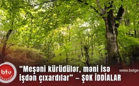 “Meşəni kürüdülər, məni isə işdən çıxardılar” – Meşə gözətçsindən şok iddialar