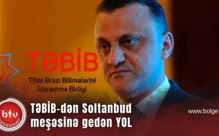 TƏBİB-dən Soltanbud meşəsinə gedən YOL: Vüqar Qurbanov meşədə keçirilən içki məclislərində vəzifə bölgüsünü belə aparıb