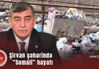 Şirvan şəhərində “Somali” həyatı yaşayan sakinlər