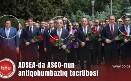 ADSEA-da ASCO-nun antiqohumbazlıq təcrübəsi