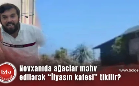 Novxanıda ağaclar məhv edilərək “İlyasın kafesi” tikilir? -Videofakt